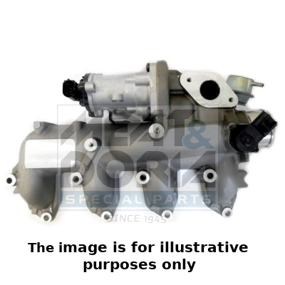 EGR Valve